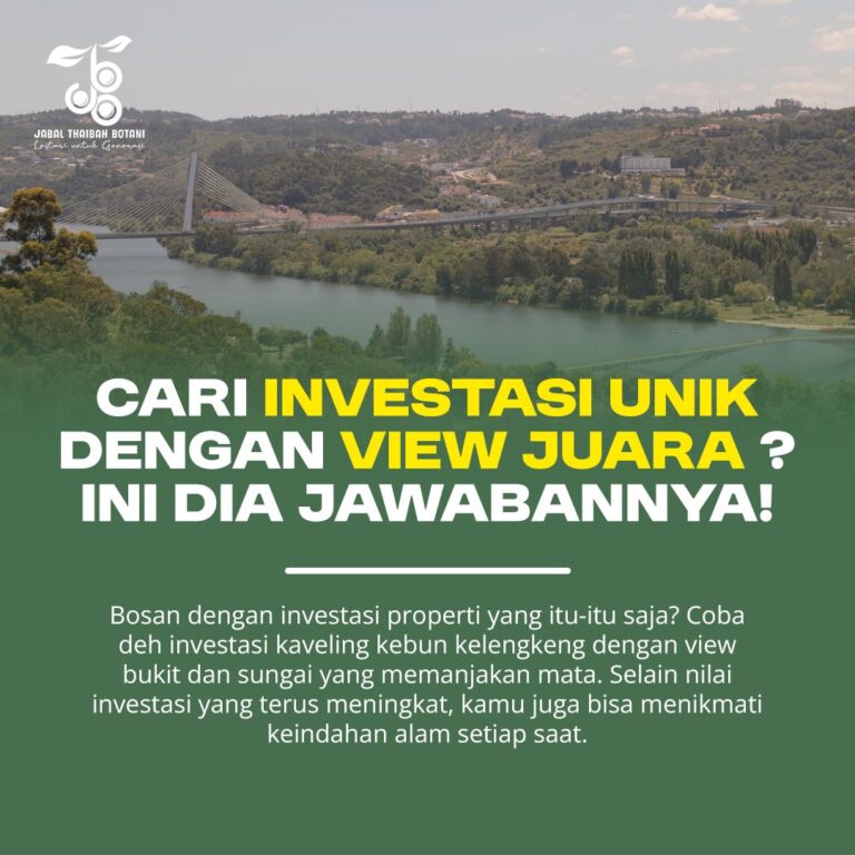 IMG-20241211-WA0007 (1)