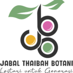 logo jabal thaibah botani